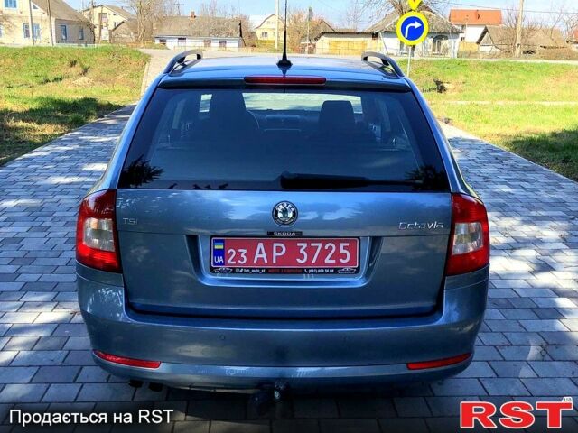 Шкода Октавия, объемом двигателя 14 л и пробегом 186 тыс. км за 7300 $, фото 3 на Automoto.ua
