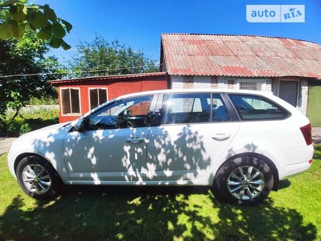Шкода Октавия, объемом двигателя 1.4 л и пробегом 180 тыс. км за 11700 $, фото 5 на Automoto.ua