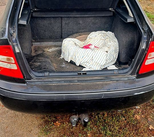 Шкода Октавия, объемом двигателя 1.6 л и пробегом 269 тыс. км за 4400 $, фото 7 на Automoto.ua