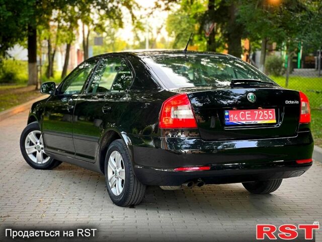 Шкода Октавия, объемом двигателя 1.4 л и пробегом 232 тыс. км за 7600 $, фото 2 на Automoto.ua