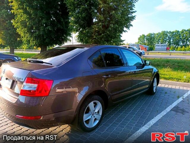 Шкода Октавия, объемом двигателя 1.4 л и пробегом 248 тыс. км за 8600 $, фото 6 на Automoto.ua