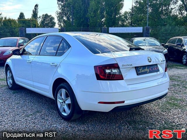 Шкода Октавия, объемом двигателя 14 л и пробегом 151 тыс. км за 11800 $, фото 5 на Automoto.ua