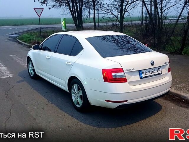 Шкода Октавия, объемом двигателя 1.6 л и пробегом 230 тыс. км за 13500 $, фото 3 на Automoto.ua