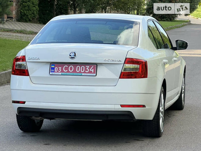 Шкода Октавія, об'ємом двигуна 2 л та пробігом 223 тис. км за 17800 $, фото 24 на Automoto.ua