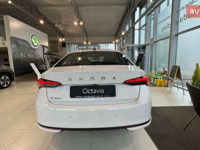 купити нове авто Шкода Октавія 2024 року від офіційного дилера Автоцентр-Дніпропетровськ Skoda Шкода фото