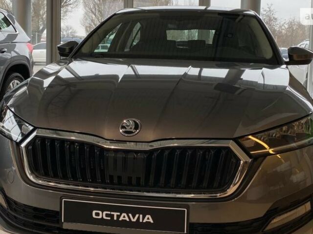 купить новое авто Шкода Октавия 2024 года от официального дилера Автоцентр AUTO.RIA Шкода фото