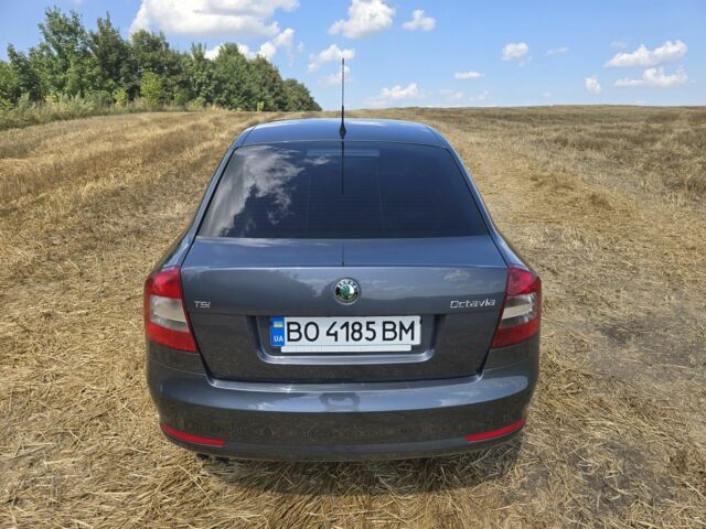 Серый Шкода Октавия, объемом двигателя 1.4 л и пробегом 282 тыс. км за 6500 $, фото 3 на Automoto.ua