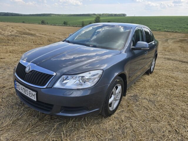 Серый Шкода Октавия, объемом двигателя 1.4 л и пробегом 282 тыс. км за 6500 $, фото 2 на Automoto.ua