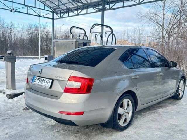 Серый Шкода Октавия, объемом двигателя 1.4 л и пробегом 210 тыс. км за 9000 $, фото 5 на Automoto.ua