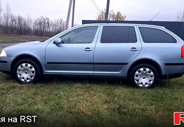 Серый Шкода Октавия, объемом двигателя 2 л и пробегом 215 тыс. км за 6500 $, фото 1 на Automoto.ua