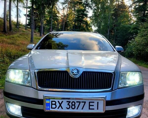 Сірий Шкода Октавія, об'ємом двигуна 1.6 л та пробігом 227 тис. км за 6300 $, фото 17 на Automoto.ua