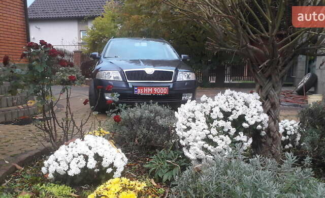 Шкода Октавия 2007 в Луцке на Automoto.ua Серый Шкода Октавия, объемом двигателя 1.6 л и пробегом 201 тыс. км за 5400 $, фото 8 на Automoto.ua