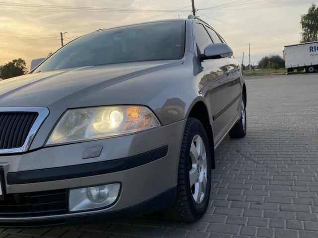 Серый Шкода Октавия, объемом двигателя 1.9 л и пробегом 256 тыс. км за 7401 $, фото 15 на Automoto.ua