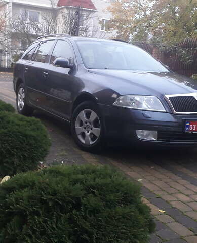 Шкода Октавия 2007 в Луцке на Automoto.ua Серый Шкода Октавия, объемом двигателя 1.6 л и пробегом 201 тыс. км за 5400 $, фото 23 на Automoto.ua