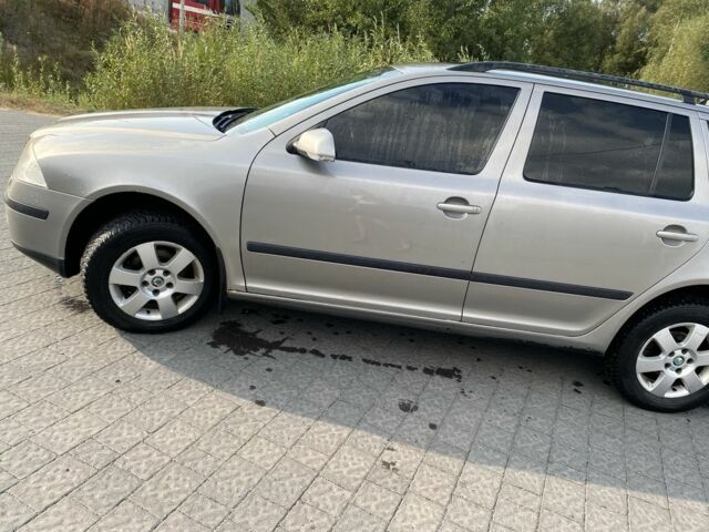 Серый Шкода Октавия, объемом двигателя 1.9 л и пробегом 256 тыс. км за 7401 $, фото 2 на Automoto.ua