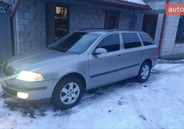 Серый Шкода Октавия, объемом двигателя 1.9 л и пробегом 300 тыс. км за 5000 $, фото 12 на Automoto.ua