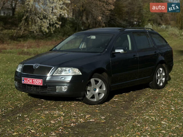 Шкода Октавия 2007 в Самборе на Automoto.ua Серый Шкода Октавия, объемом двигателя 2 л и пробегом 163 тыс. км за 8300 $, фото 10 на Automoto.ua