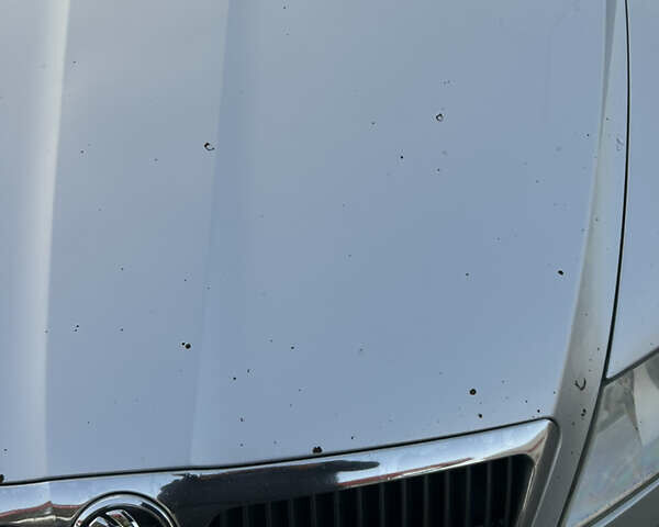 Серый Шкода Октавия, объемом двигателя 1.9 л и пробегом 418 тыс. км за 4500 $, фото 13 на Automoto.ua