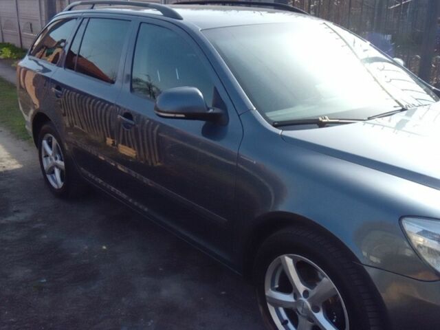 Серый Шкода Октавия, объемом двигателя 1.4 л и пробегом 189 тыс. км за 5900 $, фото 7 на Automoto.ua