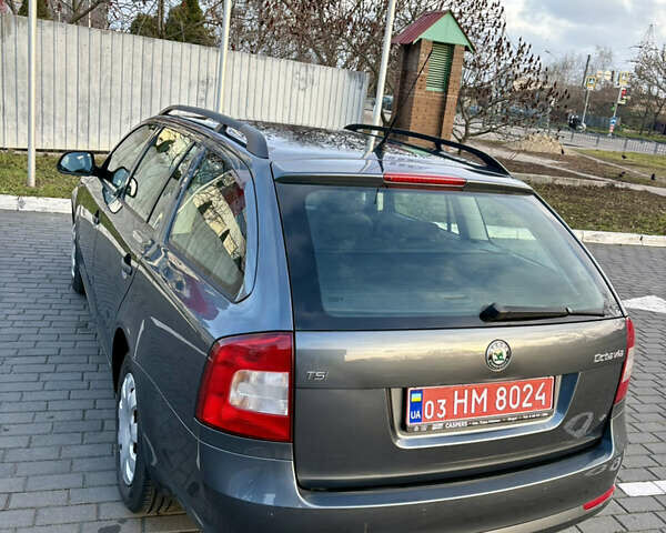 Сірий Шкода Октавія, об'ємом двигуна 1.4 л та пробігом 244 тис. км за 6499 $, фото 11 на Automoto.ua