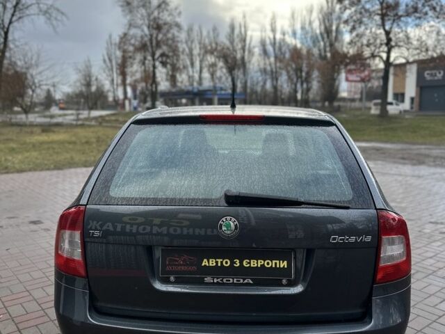 Серый Шкода Октавия, объемом двигателя 1.4 л и пробегом 172 тыс. км за 7600 $, фото 5 на Automoto.ua