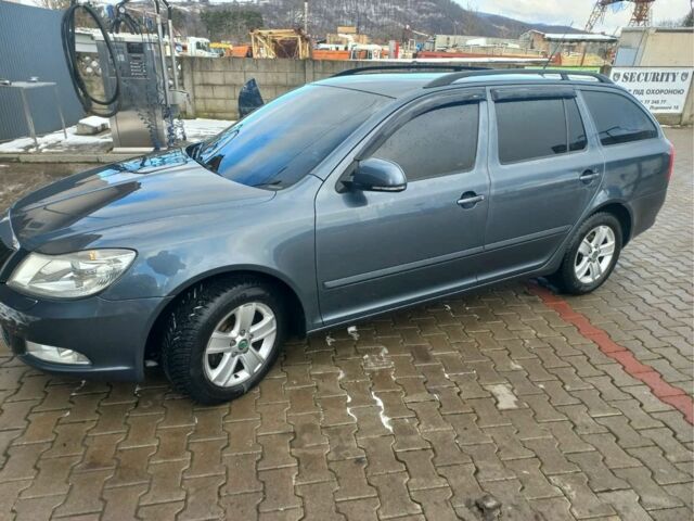 Шкода Октавия 2009 в Мукачеве на Automoto.ua Серый Шкода Октавия, объемом двигателя 0 л и пробегом 219 тыс. км за 7500 $, фото 3 на Automoto.ua