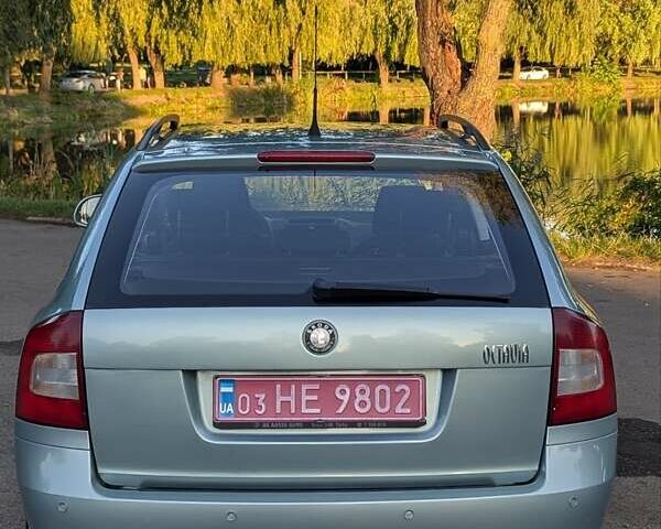 Серый Шкода Октавия, объемом двигателя 1.6 л и пробегом 201 тыс. км за 7699 $, фото 73 на Automoto.ua