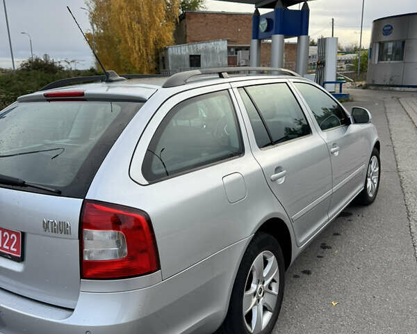 Шкода Октавия 2009 в Великой Багачке на Automoto.ua Серый Шкода Октавия, объемом двигателя 1.4 л и пробегом 192 тыс. км за 6799 $, фото 11 на Automoto.ua