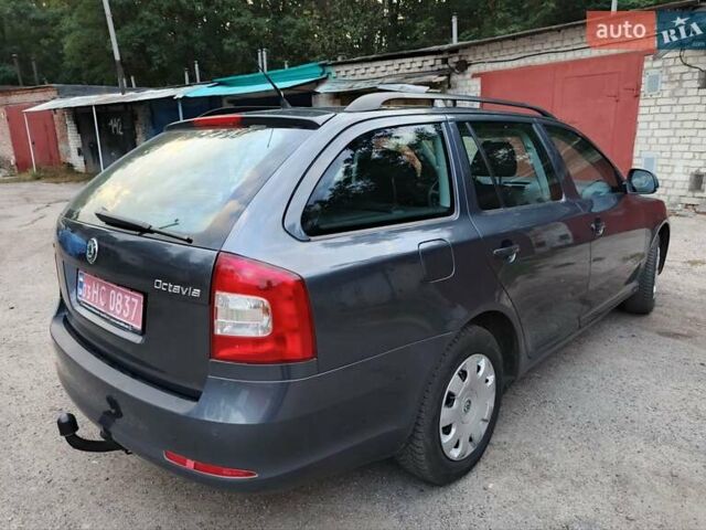 Шкода Октавия 2010 в Чернигове на Automoto.ua Серый Шкода Октавия, объемом двигателя 1.6 л и пробегом 199 тыс. км за 7200 $, фото 18 на Automoto.ua