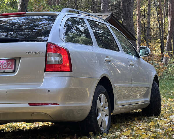 Шкода Октавия 2010 в Ровно на Automoto.ua Серый Шкода Октавия, объемом двигателя 1.4 л и пробегом 208 тыс. км за 6450 $, фото 14 на Automoto.ua