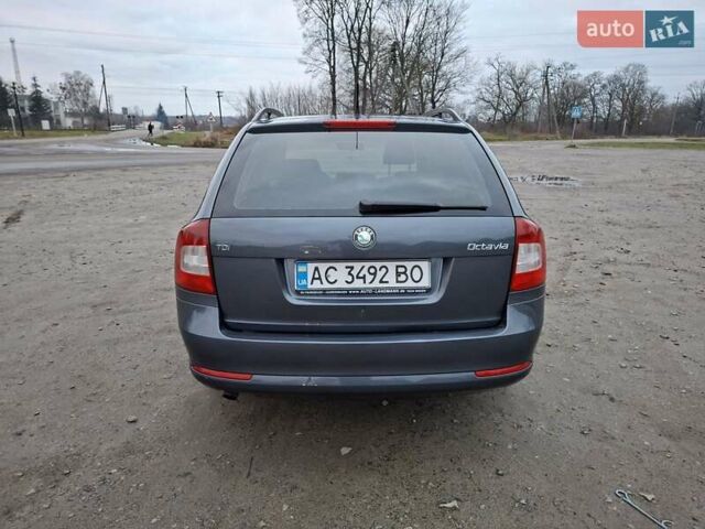 Серый Шкода Октавия, объемом двигателя 1.6 л и пробегом 253 тыс. км за 7700 $, фото 5 на Automoto.ua
