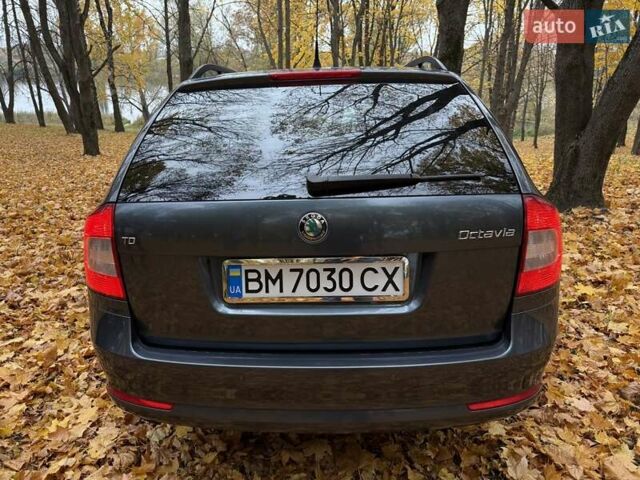 Серый Шкода Октавия, объемом двигателя 1.6 л и пробегом 280 тыс. км за 8000 $, фото 1 на Automoto.ua