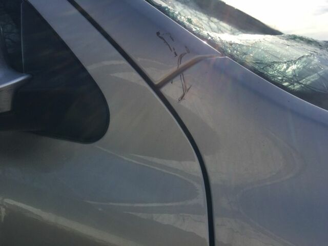 Серый Шкода Октавия, объемом двигателя 1.6 л и пробегом 200 тыс. км за 2990 $, фото 4 на Automoto.ua