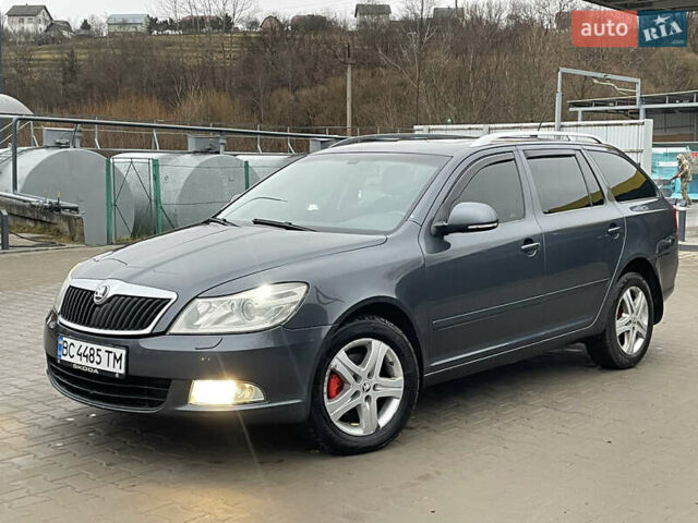 Серый Шкода Октавия, объемом двигателя 1.97 л и пробегом 350 тыс. км за 7900 $, фото 29 на Automoto.ua