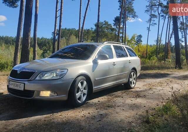Серый Шкода Октавия, объемом двигателя 1.6 л и пробегом 264 тыс. км за 6750 $, фото 18 на Automoto.ua
