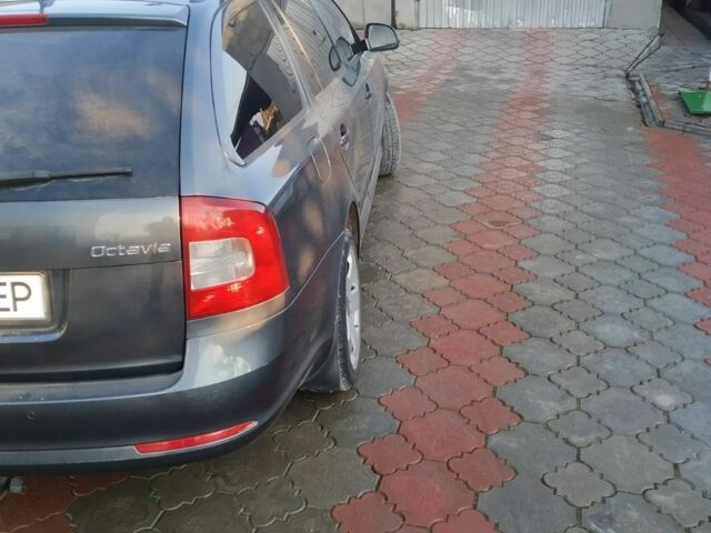 Сірий Шкода Октавія, об'ємом двигуна 0 л та пробігом 250 тис. км за 8500 $, фото 2 на Automoto.ua