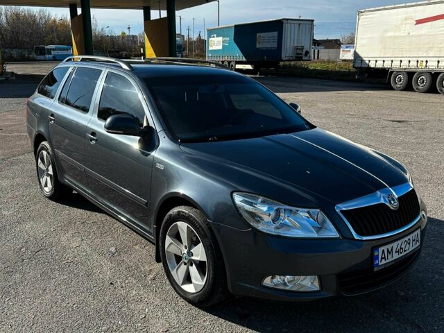 Шкода Октавія 2011 у Житомирі на Automoto.ua Сірий Шкода Октавія, об'ємом двигуна 1.8 л та пробігом 167 тис. км за 7800 $, фото 6 на Automoto.ua