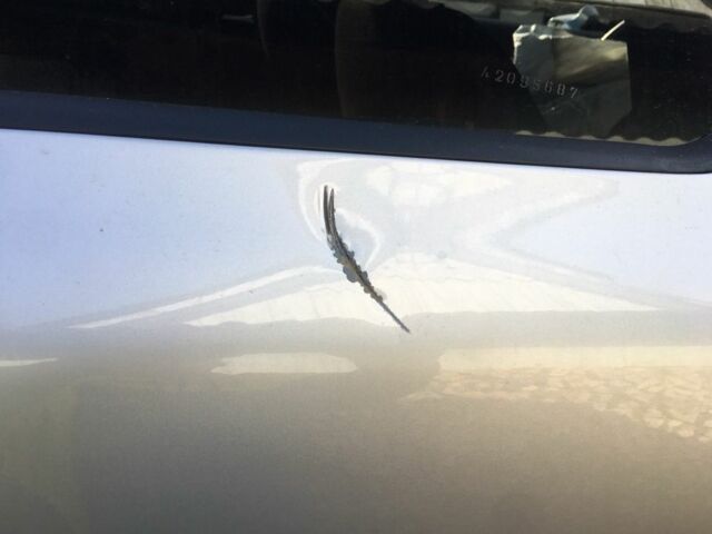 Серый Шкода Октавия, объемом двигателя 1.6 л и пробегом 200 тыс. км за 2990 $, фото 1 на Automoto.ua