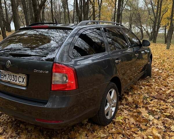 Серый Шкода Октавия, объемом двигателя 1.6 л и пробегом 280 тыс. км за 8000 $, фото 9 на Automoto.ua