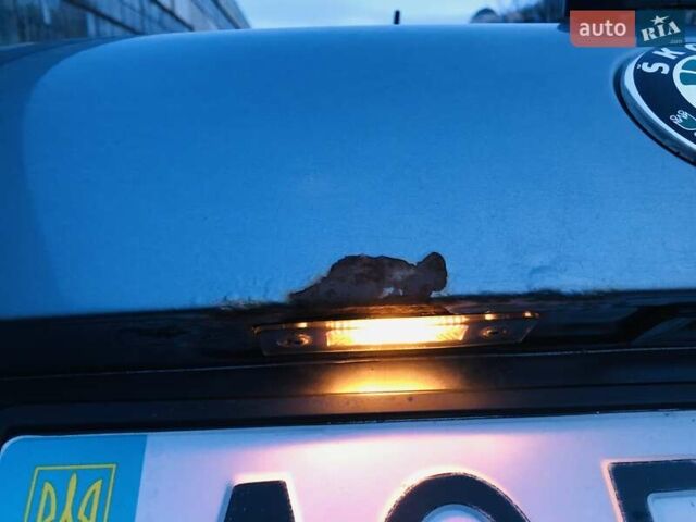 Сірий Шкода Октавія, об'ємом двигуна 1.6 л та пробігом 315 тис. км за 8000 $, фото 52 на Automoto.ua