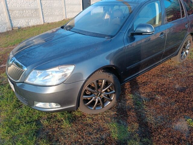 Серый Шкода Октавия, объемом двигателя 1.4 л и пробегом 235 тыс. км за 6200 $, фото 10 на Automoto.ua