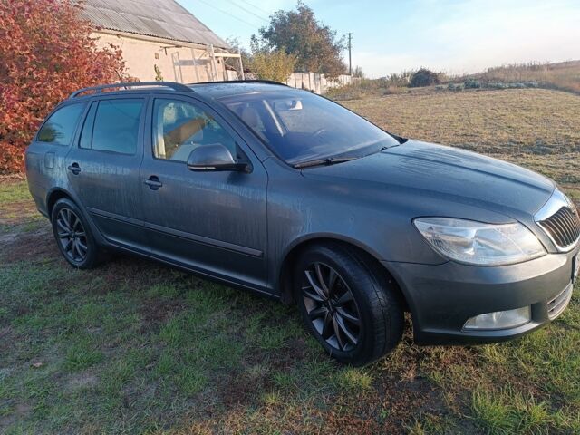 Серый Шкода Октавия, объемом двигателя 1.4 л и пробегом 235 тыс. км за 6200 $, фото 1 на Automoto.ua