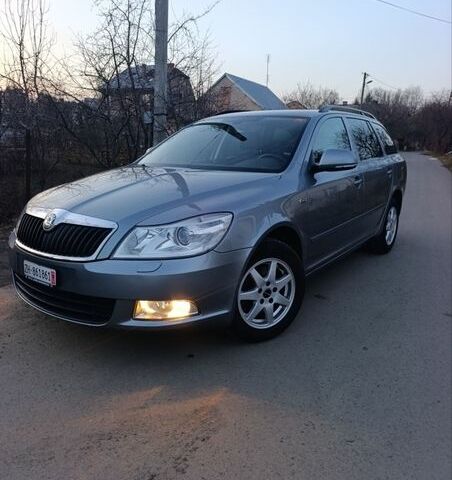 Серый Шкода Октавия, объемом двигателя 2 л и пробегом 285 тыс. км за 9900 $, фото 29 на Automoto.ua