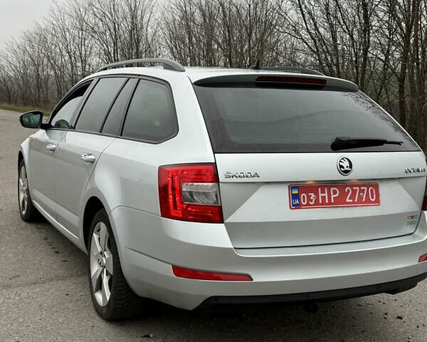 Сірий Шкода Октавія, об'ємом двигуна 1.8 л та пробігом 231 тис. км за 11500 $, фото 8 на Automoto.ua