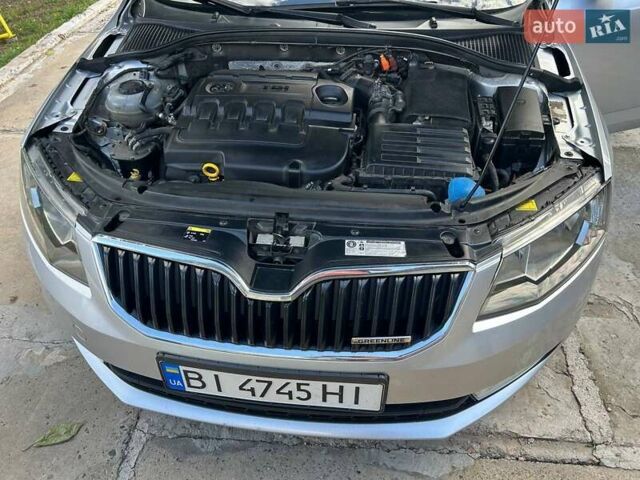 Шкода Октавия 2014 в Полтаве на Automoto.ua Серый Шкода Октавия, объемом двигателя 1.6 л и пробегом 280 тыс. км за 11190 $, фото 3 на Automoto.ua