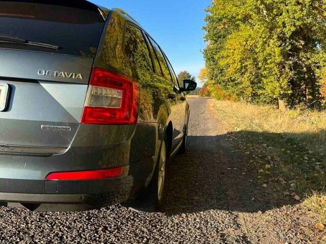 Серый Шкода Октавия, объемом двигателя 1.6 л и пробегом 206 тыс. км за 12500 $, фото 11 на Automoto.ua