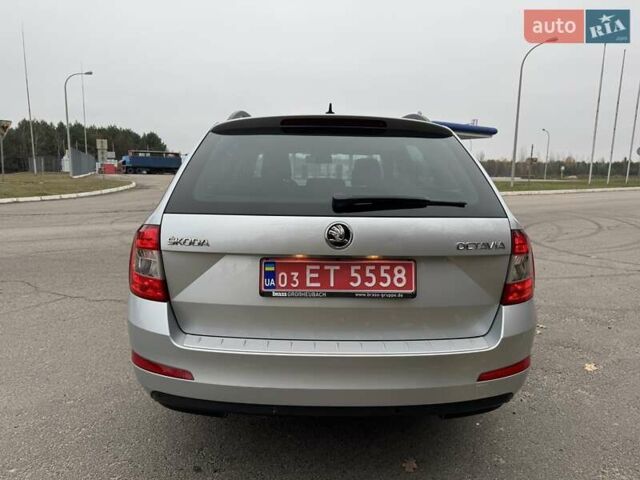 Шкода Октавия 2016 в Ковель на Automoto.ua Серый Шкода Октавия, объемом двигателя 0 л и пробегом 227 тыс. км за 12700 $, фото 29 на Automoto.ua