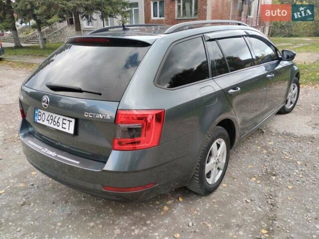 Шкода Октавия 2017 в Тернополе на Automoto.ua Серый Шкода Октавия, объемом двигателя 1.6 л и пробегом 250 тыс. км за 13400 $, фото 3 на Automoto.ua