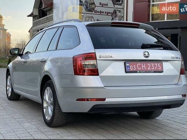 Шкода Октавия 2018 в Львове на Automoto.ua Серый Шкода Октавия, объемом двигателя 1.6 л и пробегом 118 тыс. км за 15750 $, фото 7 на Automoto.ua