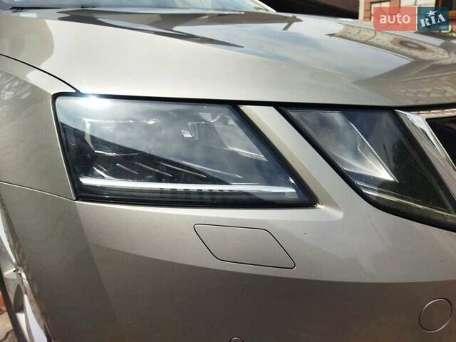 Шкода Октавия 2019 в Житомире на Automoto.ua Серый Шкода Октавия, объемом двигателя 1.6 л и пробегом 211 тыс. км за 13499 $, фото 23 на Automoto.ua